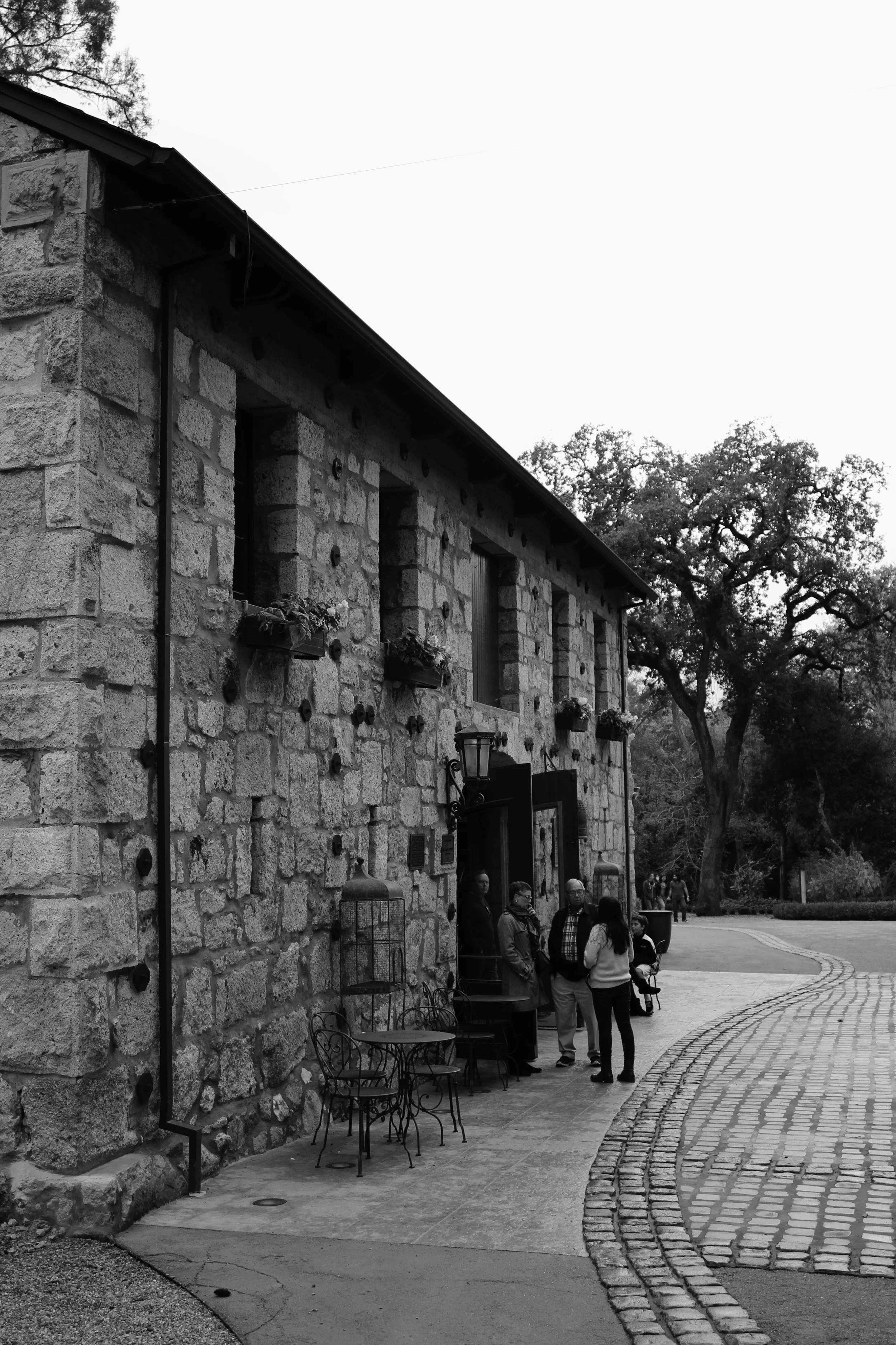 Buena Vista Winery