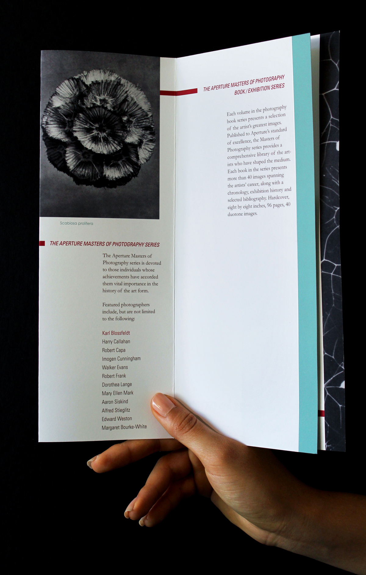 KB_brochure_open-1.jpg