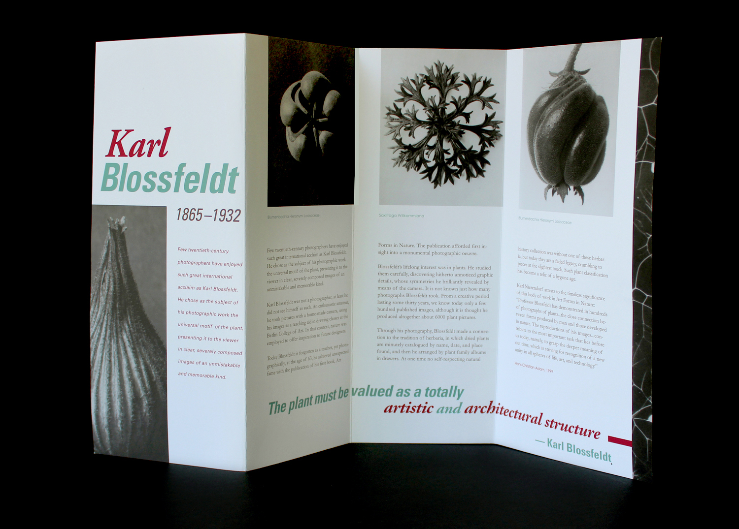 KB_brochure_open_all(1).jpg