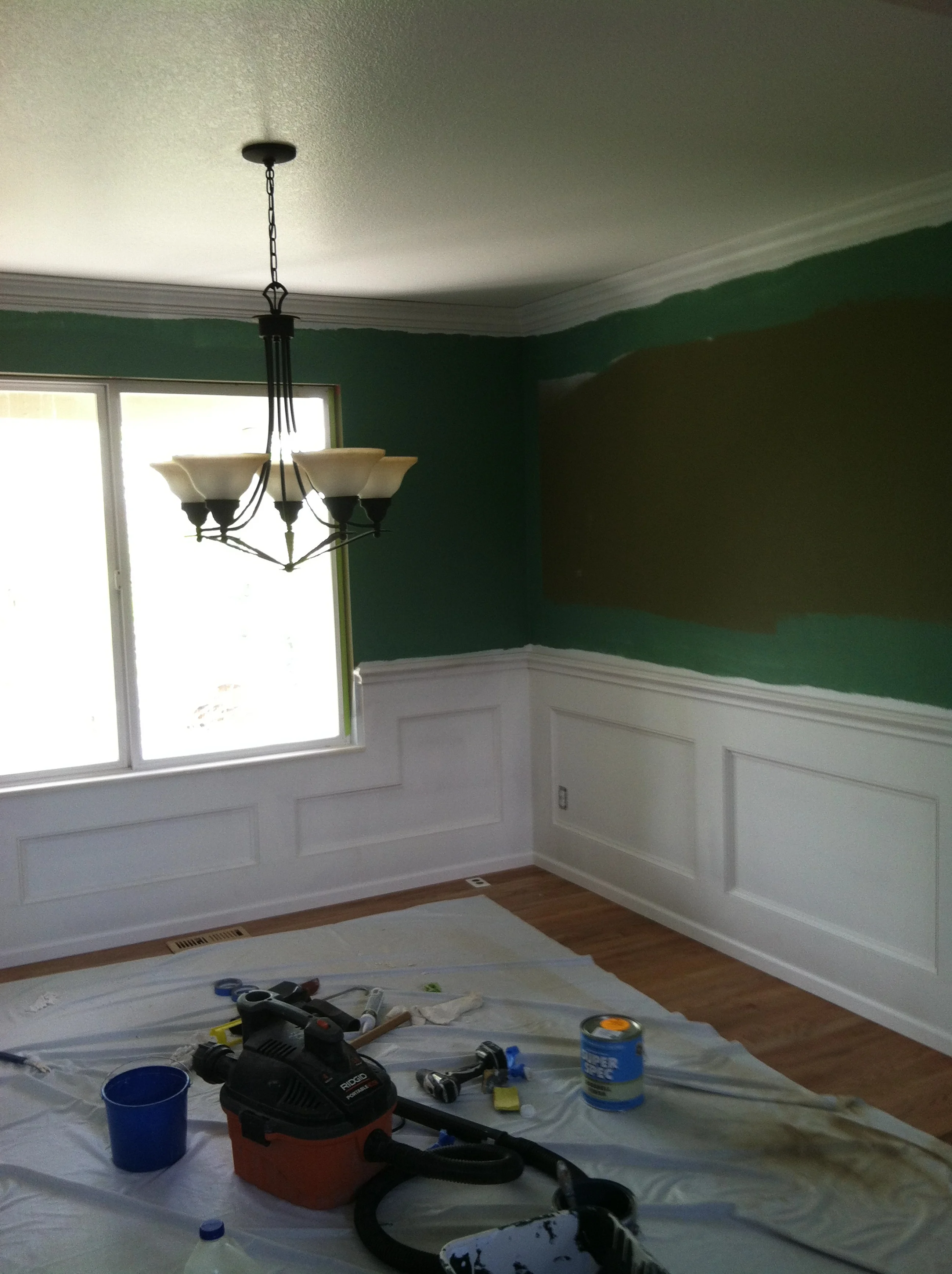 wainscot1.JPG