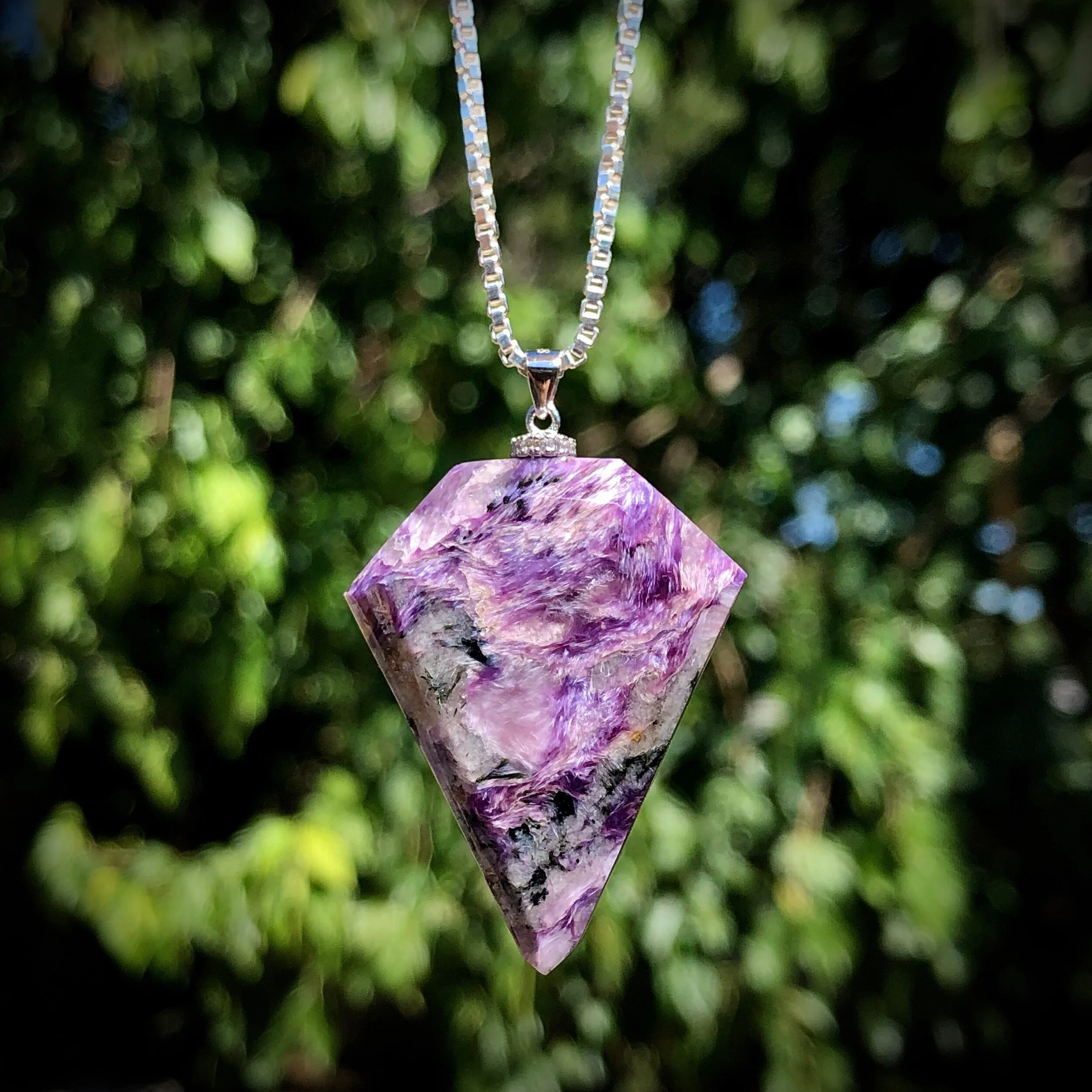 E3D1346C-8551-4A81-8702-DC6B62C8A13D