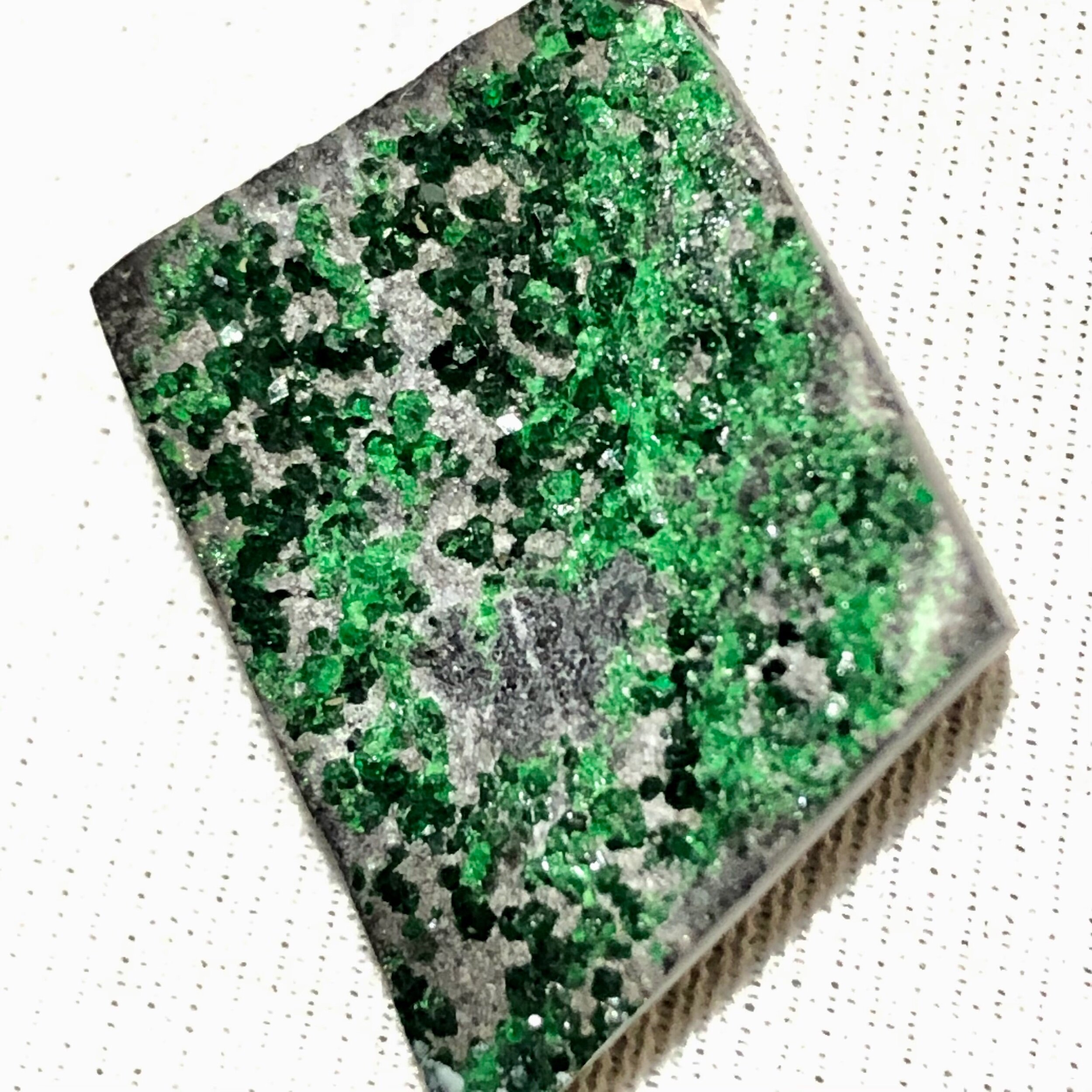 7FAFBA8D-976D-4768-AD0D-FFF32C7E3B6D