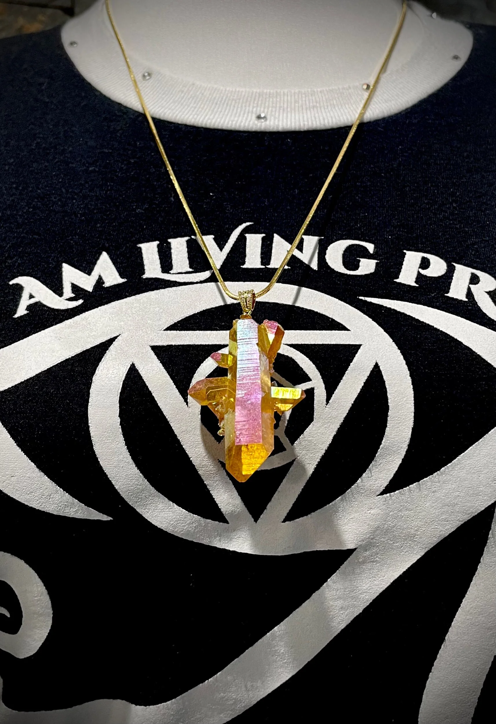 5398C54A-EF90-4F9B-B5F9-D6A380A3E639