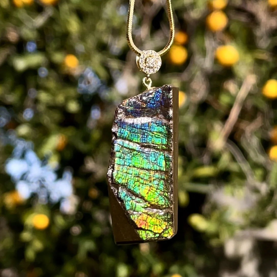 17A610E2-D889-4371-80BC-C754154E830E