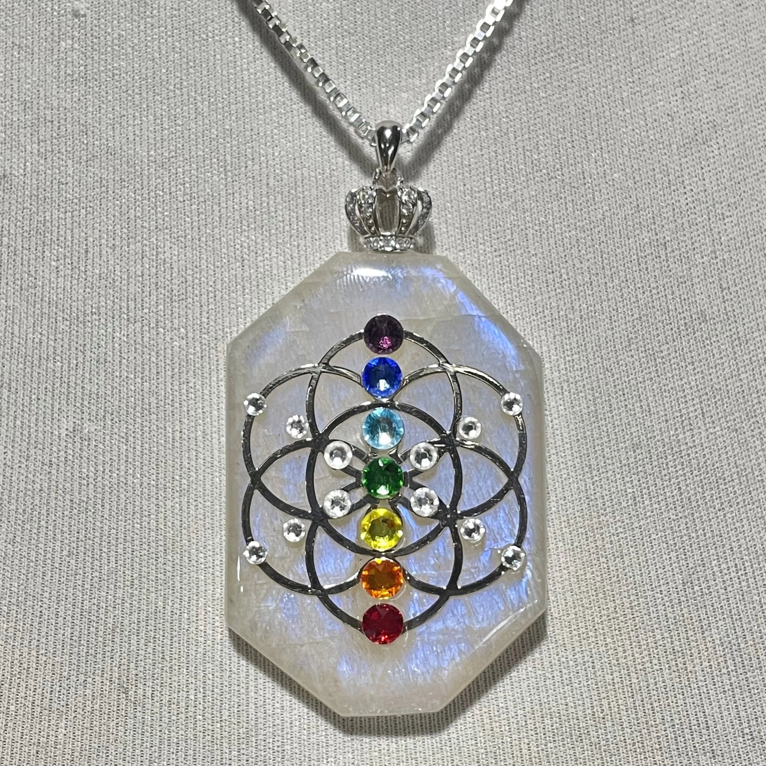 D557CFD9-7F5C-4FB3-8B88-E651360EFDD0