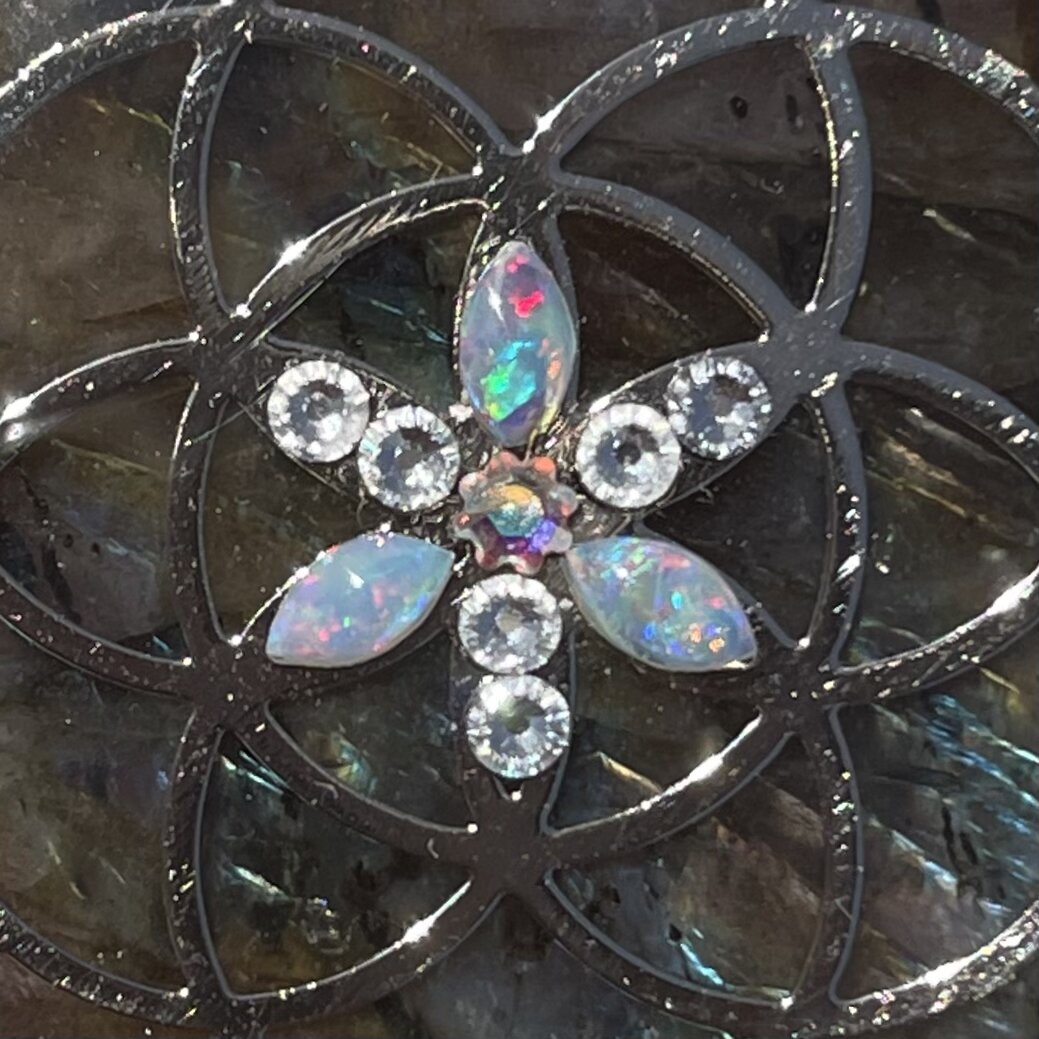 DCD4E743-C9C9-4091-9281-9BA75A0E4157