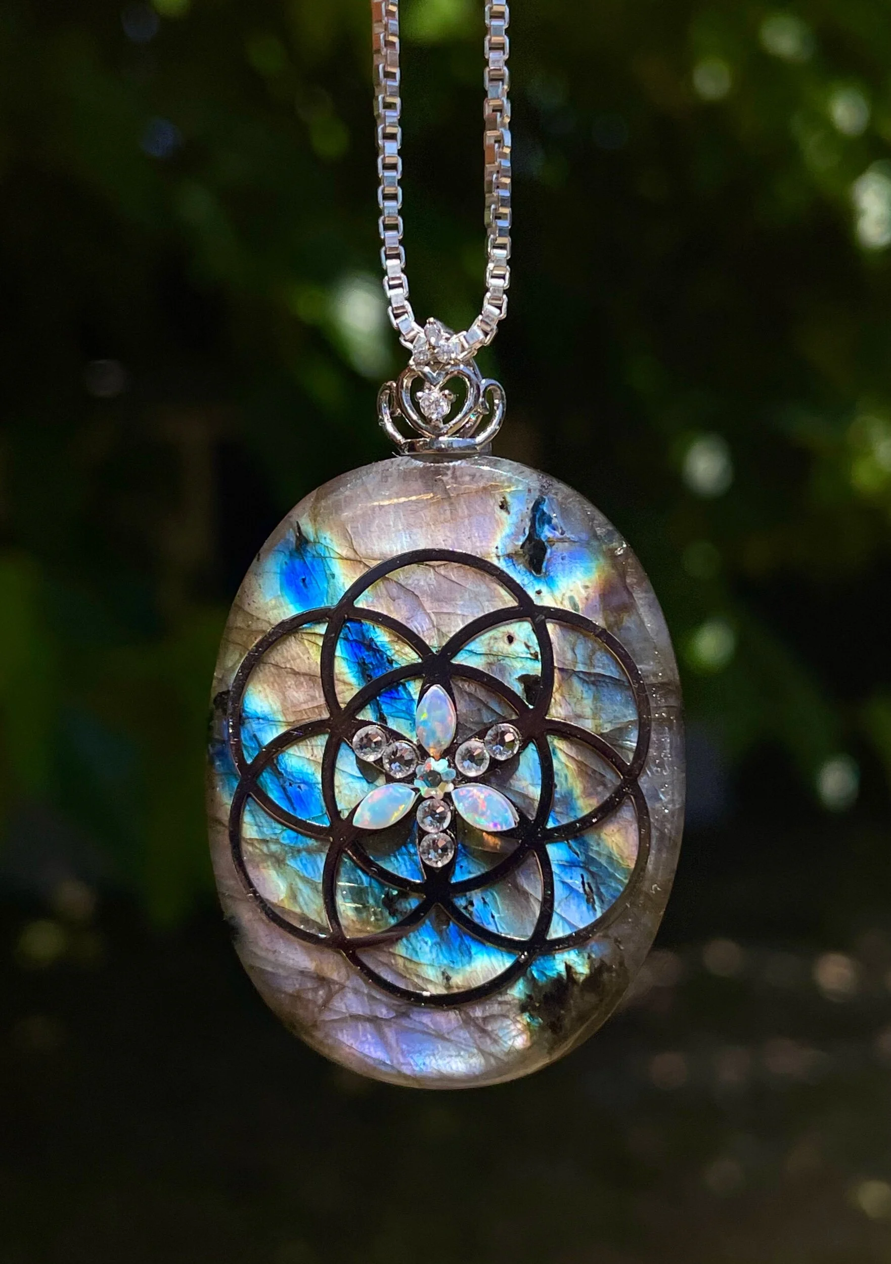 6B930596-1101-4259-B048-826BBB7B045B