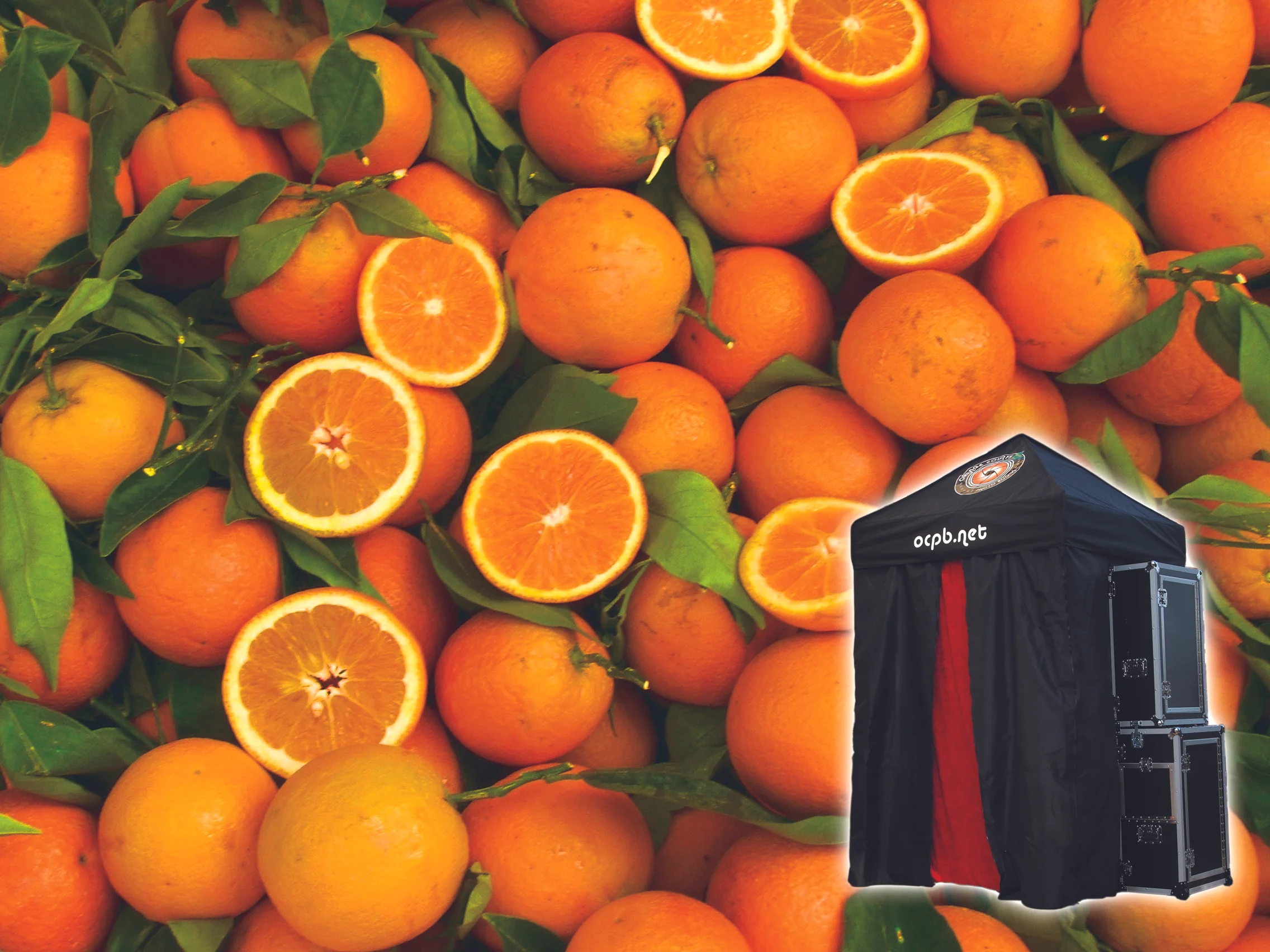oranges and booth.jpg