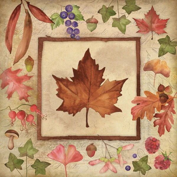 SM154002 MapleOfFall 2.jpg