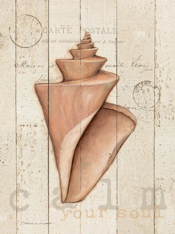 SM11219 Wonder Shell On Wood.jpg