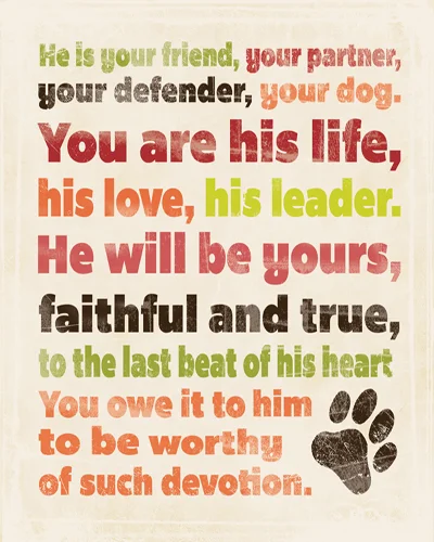 ST9920 Devotion 16x20.jpg