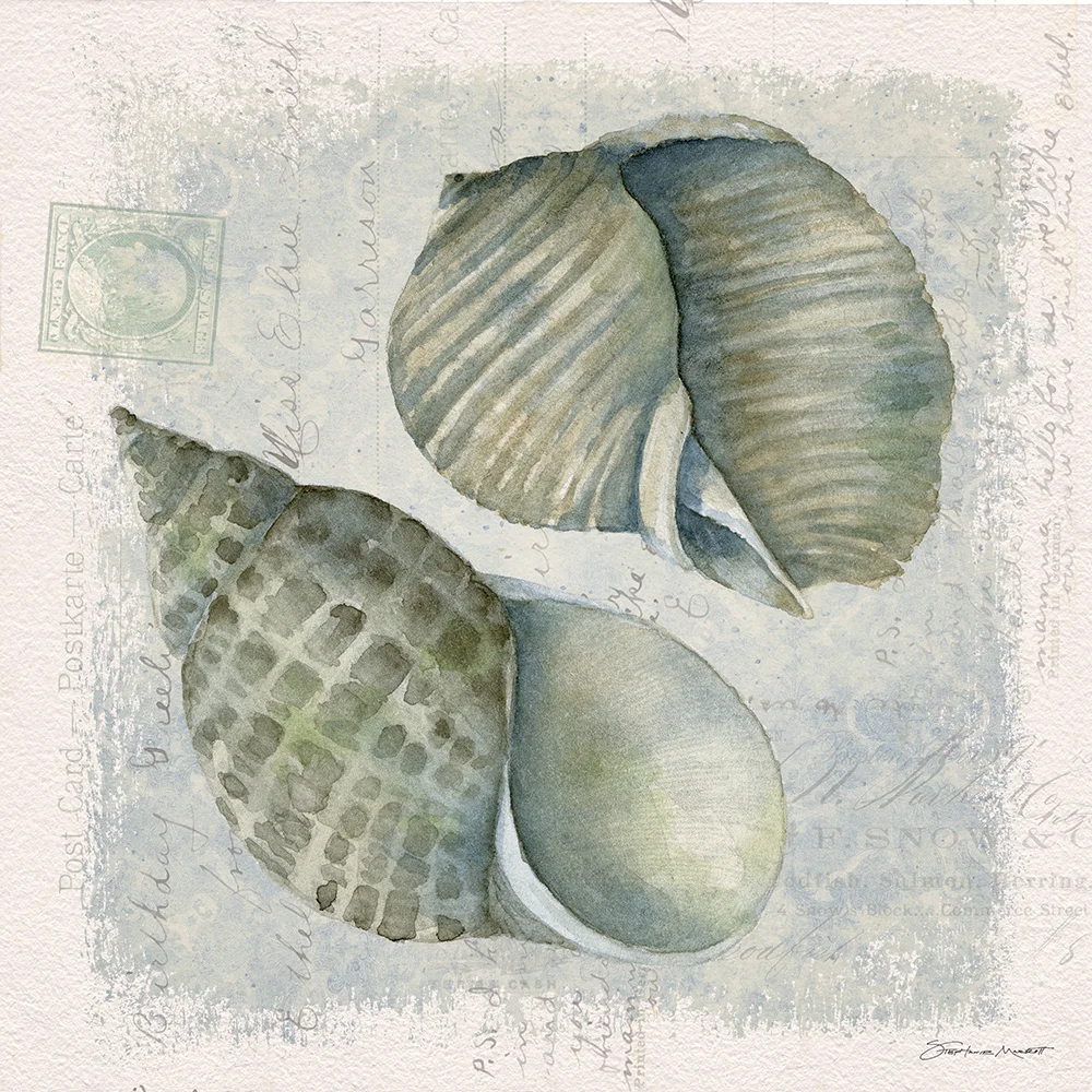 SM1802026 2ShellsOnBlue 10x10.jpg