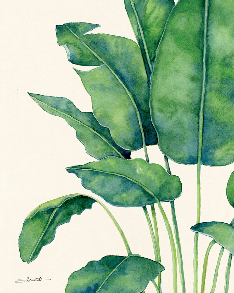 SM1909026 Tropical I 16x20.jpg