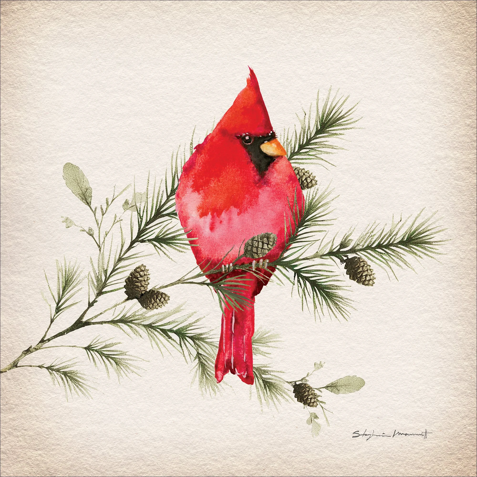 SM2501009 CardinaIn&Pine 12x12.jpg