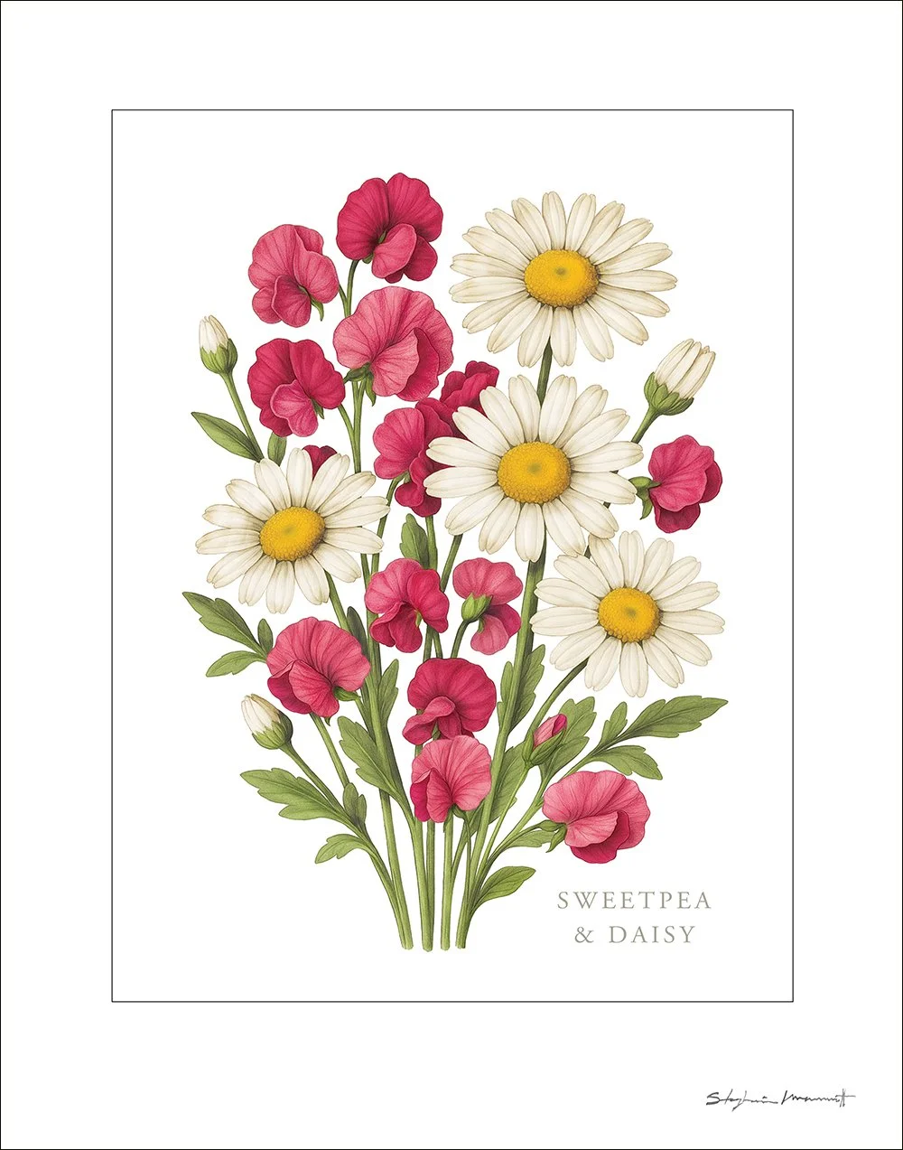 SM2510005 APRIL Sweetpea&Daisy 11x14.jpg