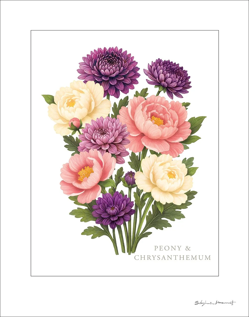 SM2510010 NOV Chrysanthemum&Peony.jpg
