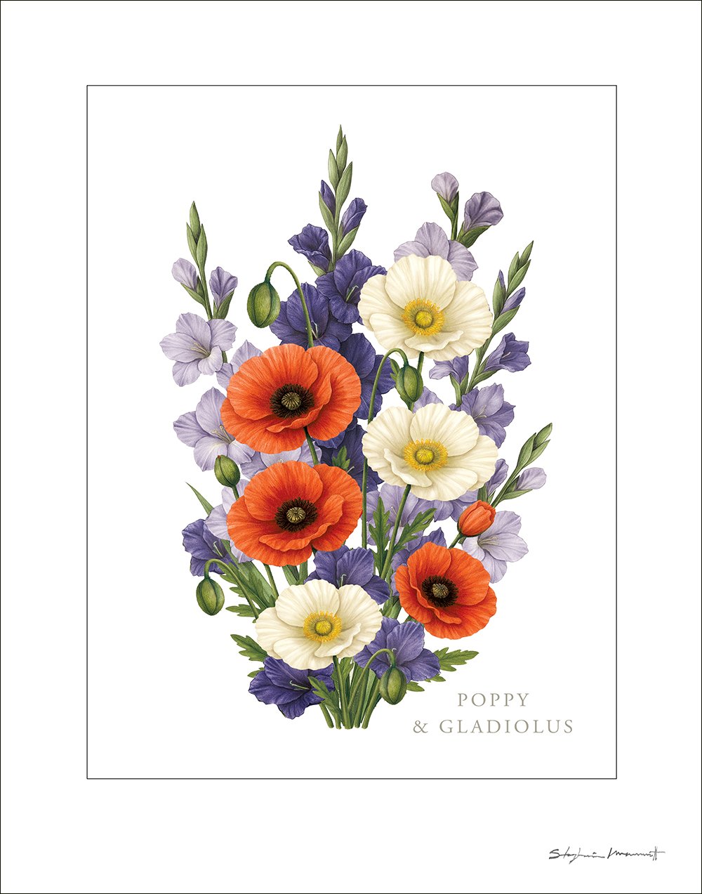 SM2510007 AUGUST Poppy&Gladiola 11x14.jpg