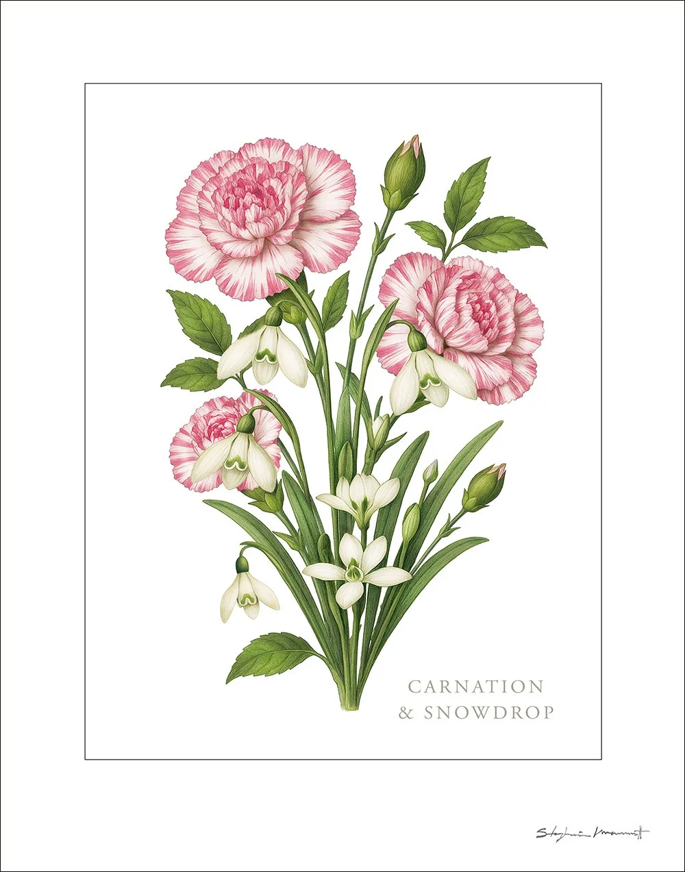 SM2510002 JAN Carnation&Snowdrops 11x14.jpg