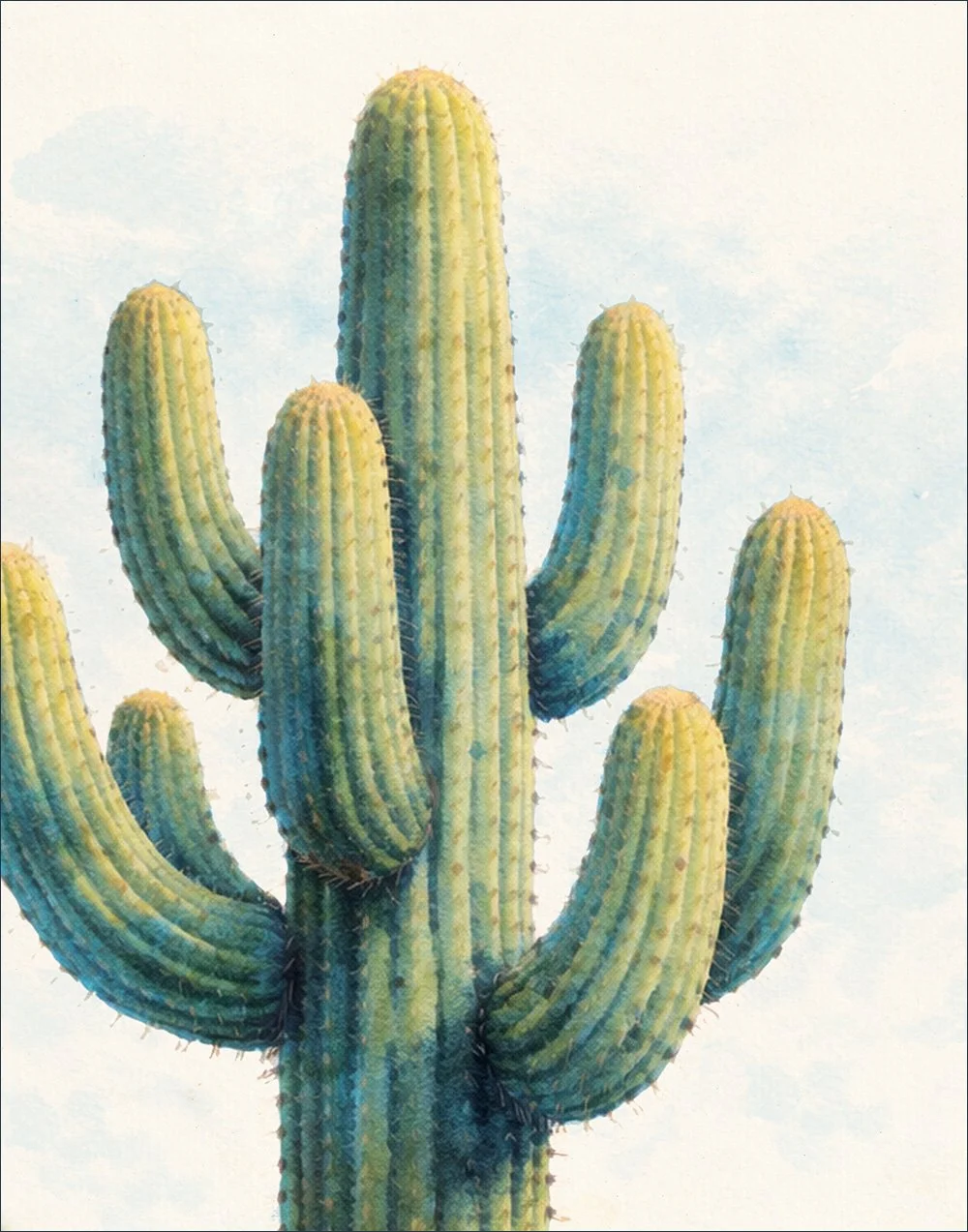 SM2603016 SaguaroCactus Close-Up 11x14.jpg