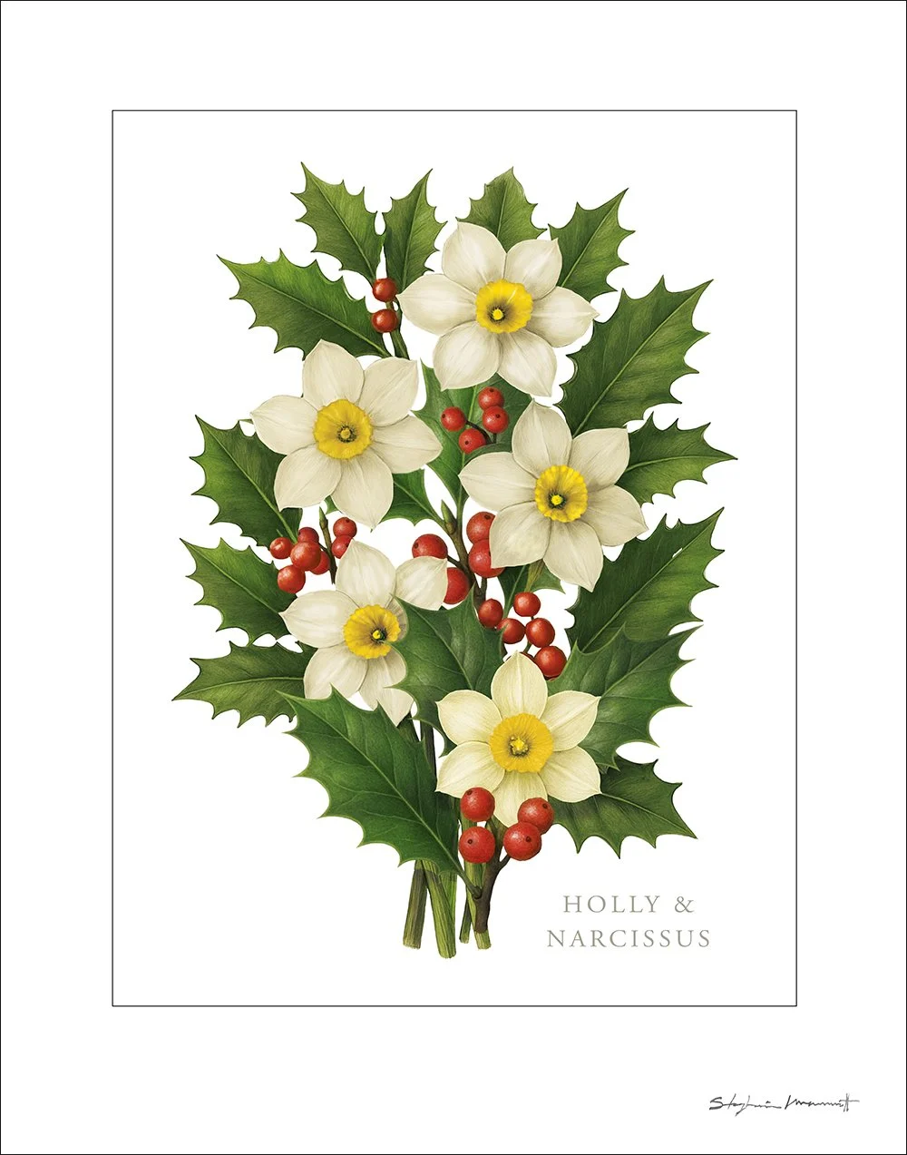 SM2510011 DEC Narcissus&Holly.jpg