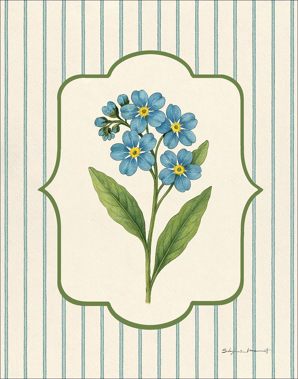 SM2504001 ForgetMeNots 11x14.jpg