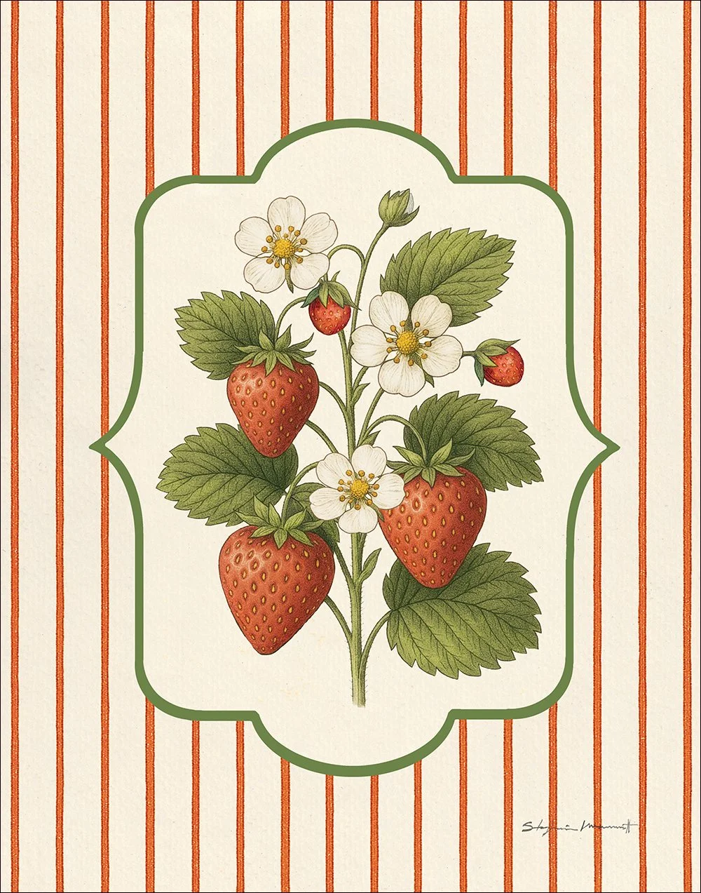SM2504005 Strawberries 11x14.jpg
