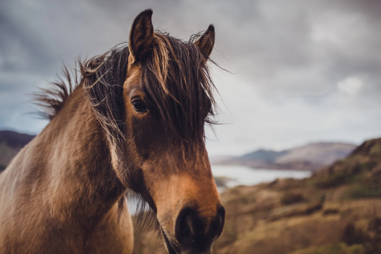Scotland_2017022.jpg