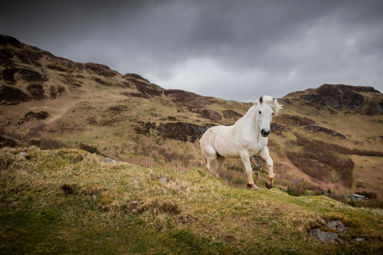 Scotland_2017027.jpg