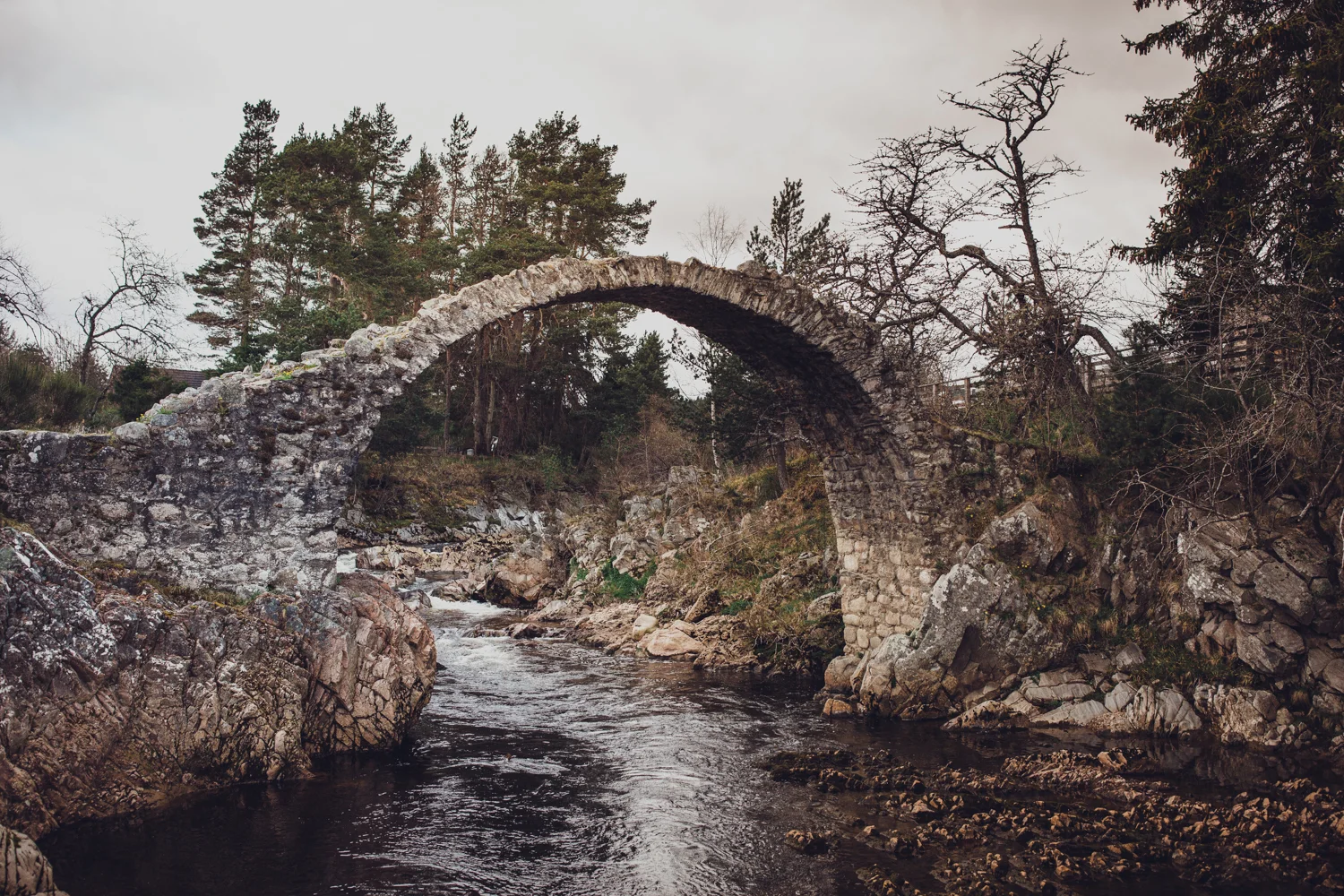 Scotland_2017033.jpg