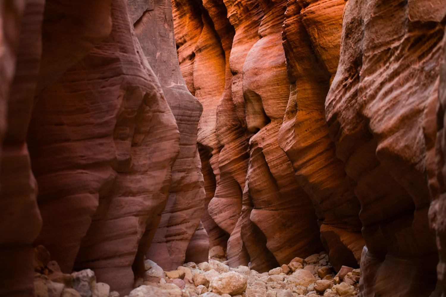Travel_Photographer_PaigeEden023.jpg