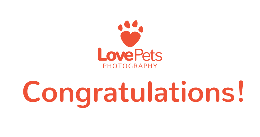congrats-banner-lp.gif