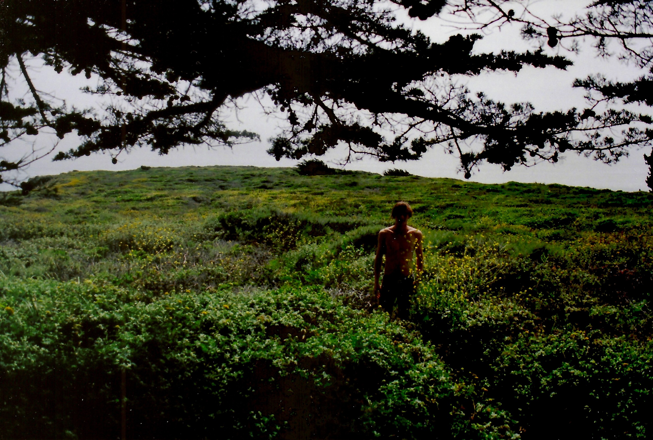 SpringSantaCruz2014.jpeg