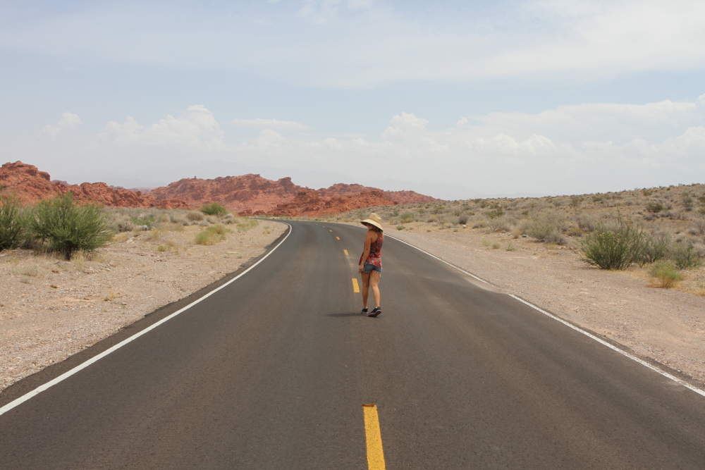 ValleyOfFire0209.JPG