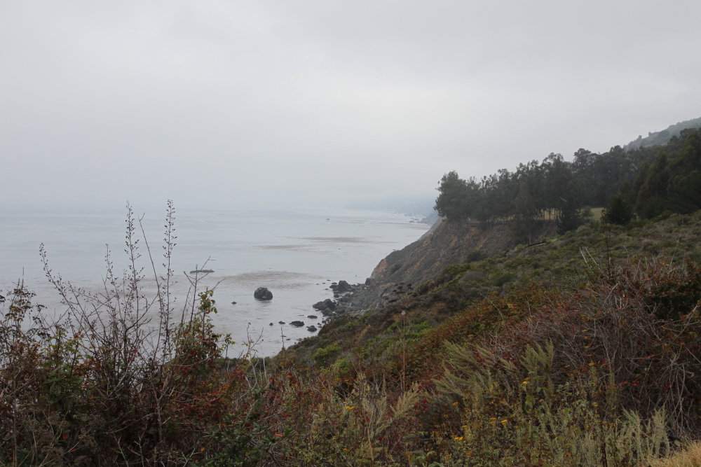 BIG_SUR_OTR0162.JPG