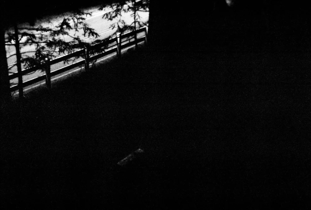 FILM_PHOTOGRAPHY0000.JPG