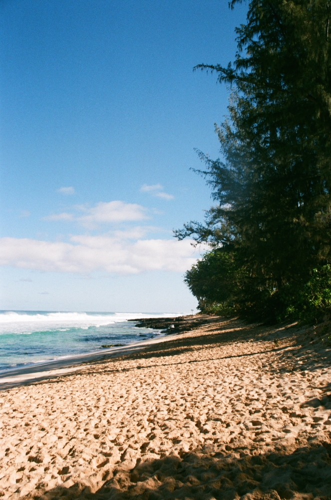 OAHU_MARCH16_FILMFRAMES32.JPG