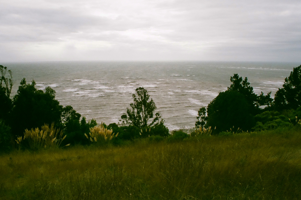 BOLINAS_OCT_16_FILMFRAMES7.JPG