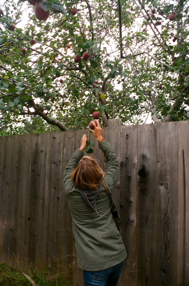 BOLINAS_OCT_16_FILMFRAMES9.JPG