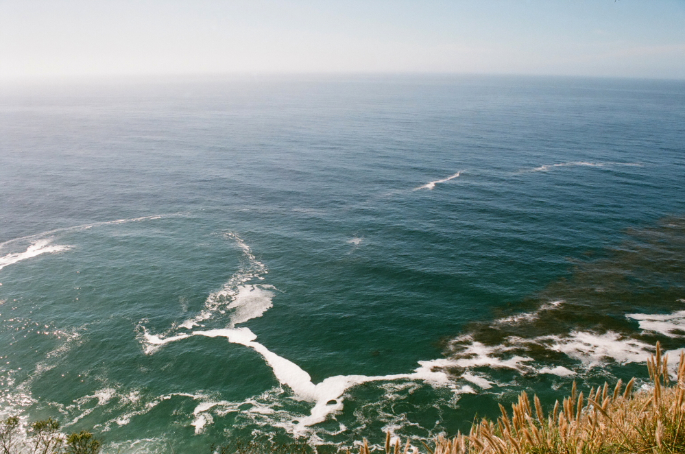 BIGSUR_OCT_16_FILMFRAMES61.JPG