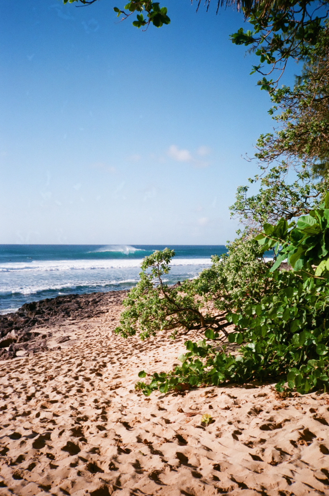 OAHU_MARCH_2017_FF_16.JPG