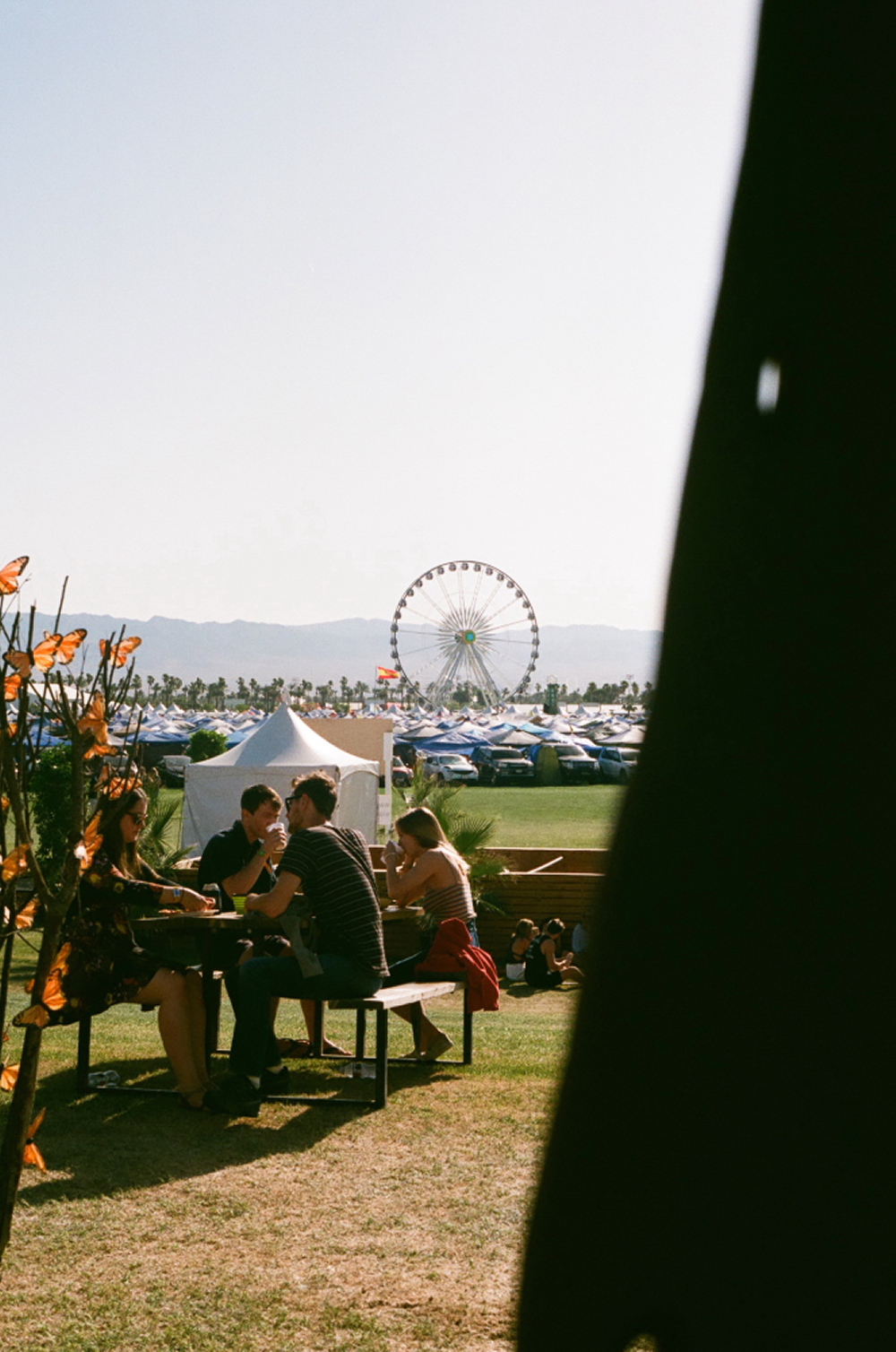 COACHELLA_2017_FILMFRAMES__0.JPG