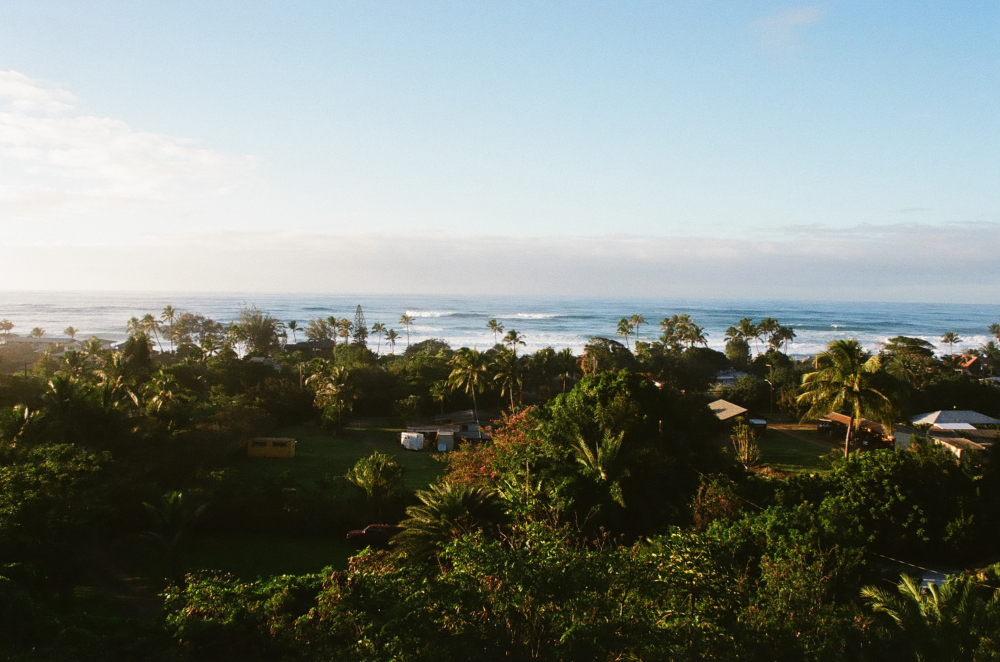 OAHU_DEC_17_FILMFRAMES36.JPG