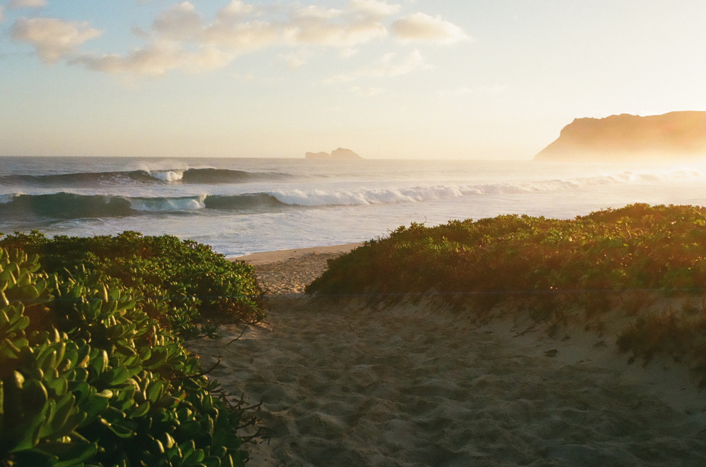 OAHU_DEC_17_FILMFRAMES85.JPG