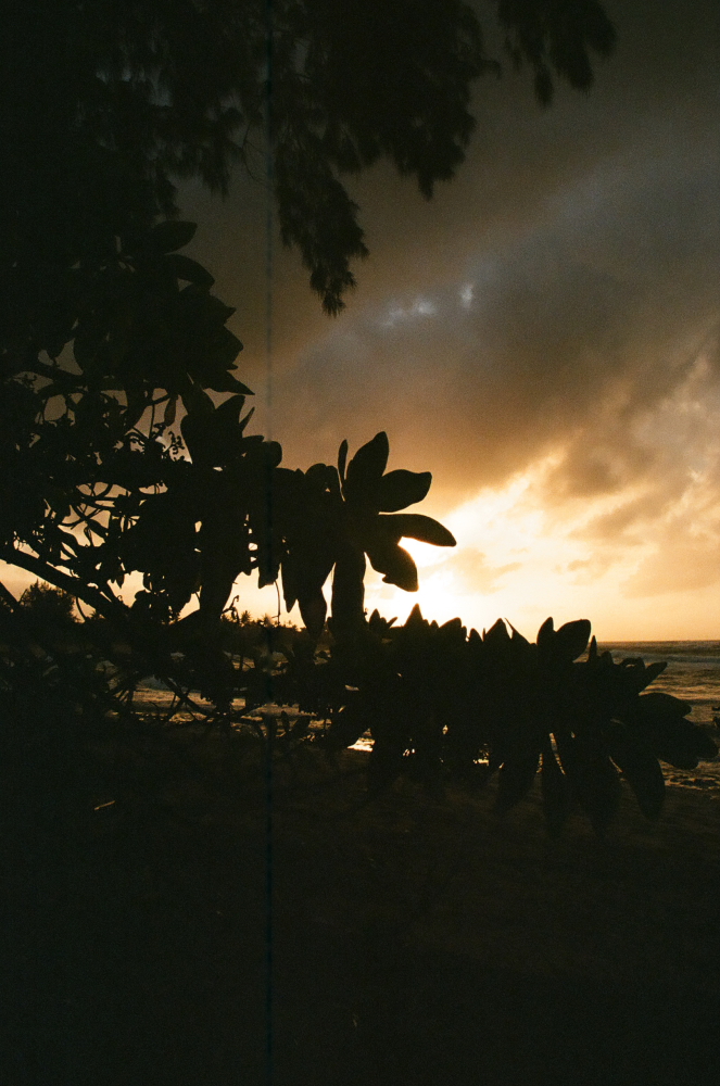 OAHU_DEC_17_FILMFRAMES181.JPG