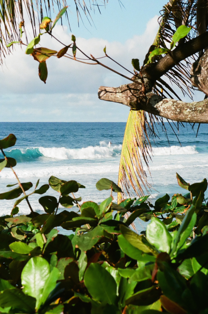 OAHU_DEC_17_FILMFRAMES92.JPG