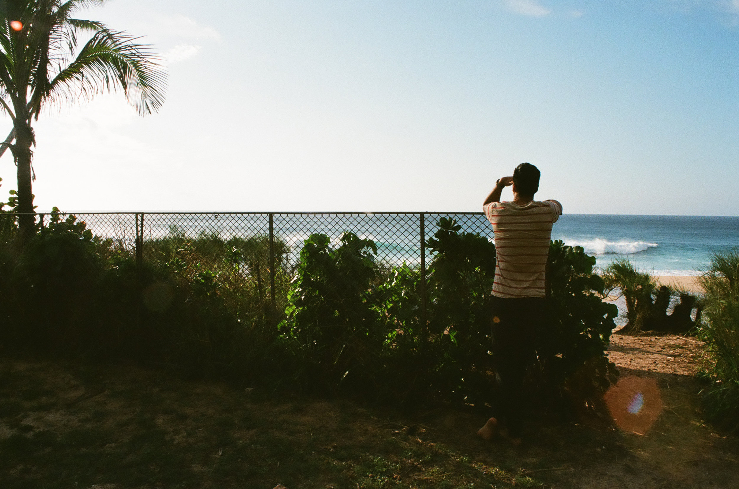 OAHU_FEB2018_35MM_47.JPG