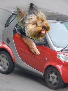  Watch out! Here I come.. .