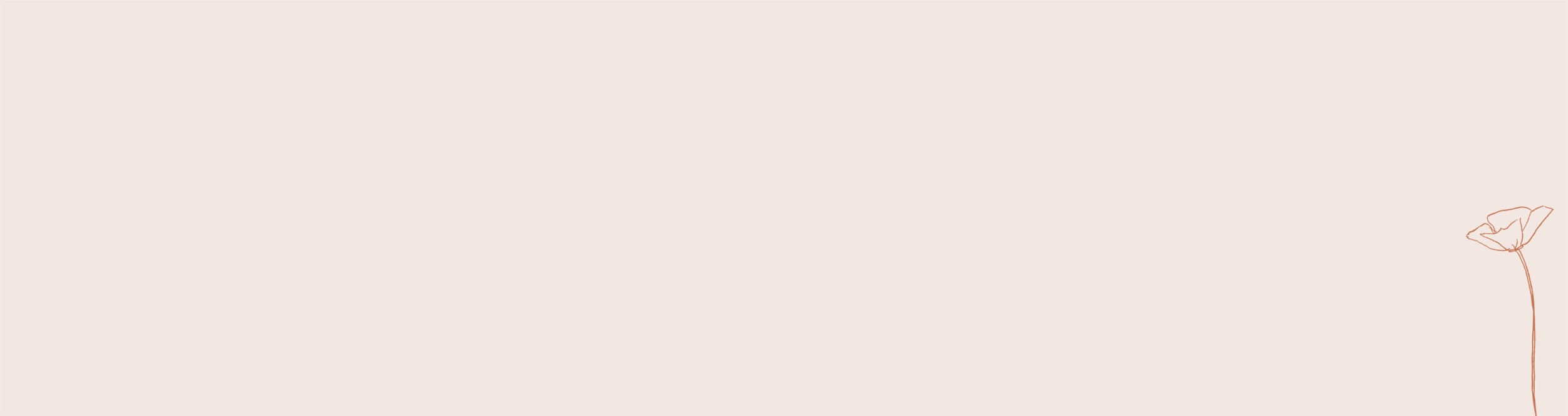 TFCWebsitetestimonial-07.png