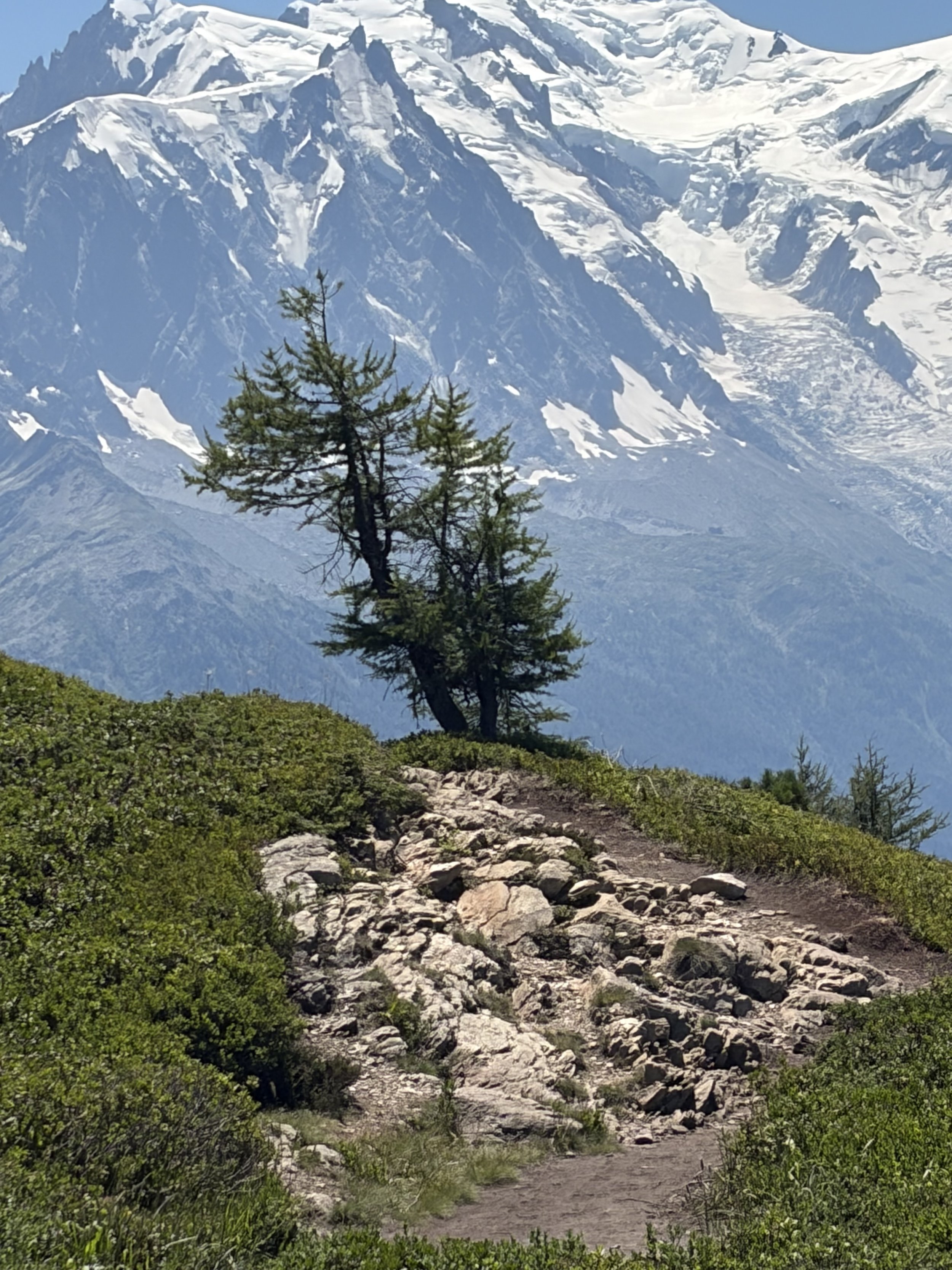 FREE : Intro to Yoga /The Foundations 