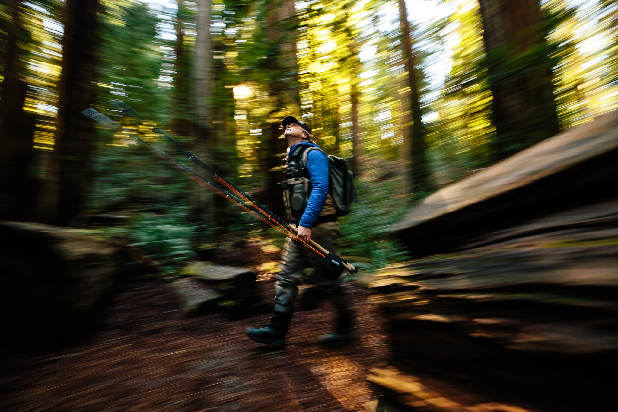 Dax in the redwoods.jpg